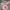 Backpack Kanken Fjallraven Big  photo 4