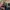 Backpack Kanken Fjallraven Big  photo 6