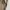 Yves Saint Laurent YSL Vintage Streetwear Windbreaker Pria cream photo 6