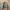 Vintage Troy Bros Flight Harrington Jacket photo 5