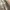 Japanese Brand Akubal Flight Harrington Jacket photo 6