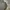 Dickies ECWS Jacket Black Parachute L/XL photo 7