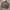 Ermengildo Zegna Bomber Zip Up Jacket Nylon Brown photo 4