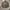 Ermengildo Zegna Bomber Zip Up Jacket Nylon Brown photo 1