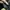 Clarks Wallabe Black High photo 5