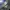 Asics Orthlite photo 6