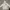 Lanvin Paris Rhinestone Heart Logo Hoodie - Cream/Off-White
