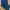 Dickies Casual Casual pants Pria navy blue photo 4