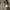 Outdoor Research Gorpcore Casual Windbreaker Pria khaki photo 7
