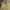 Outdoor Research Gorpcore Casual Windbreaker Pria khaki photo 5