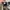 Vans Old Skool photo 7