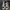 Converse x John Varvatos  size 42 photo 2