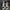 Converse X John Varvatos  Size 42