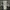 Converse x John Varvatos  size 42 photo 4