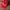 Topi Snapback Coca Cola Unisex photo 1