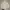 Vintage Y2K O'Neill Raglan Pullover Hoodie Embroidered Logo photo 10