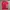 Adidas jersey photo 1