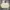 Outstanding.Co Hunting Short Twill Jacket Beige photo 1
