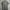 Polo Ralph Lauren Big Logo Polo Shirt photo 1
