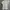 Guess Halfzip Polo Shirt photo 5