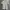 Guess Halfzip Polo Shirt photo 1