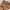 Vintage Indie Fur coat Wanita tan brown photo 2