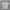 Dhitney Cream Leaf Pattern Cheongsam