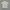 Dhitney Cream Leaf Pattern Cheongsam photo 2