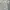 Dhitney Cream Leaf Pattern Cheongsam photo 3