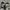 Sepatu Ventela BTS 70'S Low Black White photo 5