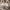 Adidas Nizza Pride EF2319 photo 6