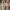 Adidas Nizza Pride EF2319 photo 7
