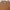Missoni Polo shirts Pria Tops multicolor photo 3