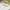 Von Dutch Workshirt White 1534 photo 6
