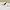 Von Dutch Workshirt White 1534 photo 2