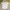 Von Dutch Workshirt White 1534 photo 5