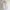 Minimalist Casual Formal shirt Pria white photo 1