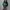 5252 by OiO! HOODIE HANNI photo 8