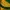 jersey brazil home 1998 photo 3
