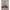 Bra Kawat Pierre Cardin B32