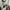 hush puppies emmit off white L oversize BNWT photo 4