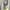 hush puppies emmit off white L oversize BNWT photo 5