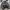 Penfield Gorpcore Minimalist Puffer jacket Pria white gray photo 3