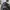 Penfield Gorpcore Minimalist Puffer jacket Pria white gray photo 4