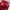 SAMO ONDOH in RED  photo 3