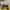 Rare Adidas Originals Bermuda Tan Brown Second Original photo 9