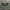 TPX 3D Knitwear jepang photo 2