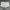 Abercrombie & fitch embroidery logo white shorts photo 5