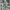Levi's x ganni floral patterns baggy denim pants photo 9