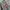 Levi's x ganni floral patterns baggy denim pants photo 6